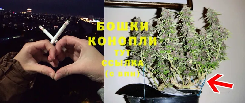 Конопля семена  ссылка на мегу зеркало  Ковылкино 